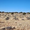 Photo of Mobile Home Lot