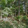 Mobile Home for Sale: 2022 Mobile Home