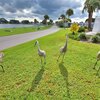 Mobile Home for Sale: Manufactured Home - Post 1977 - WINTER HAVEN, FL, Winter Haven, FL