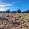 Photo of Mobile Home Lot