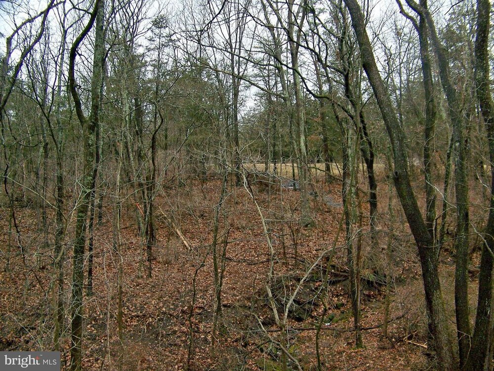 Photo of Mobile Home Lot