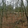 Photo of Mobile Home Lot