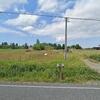 Mobile Home for Sale: 3 Bed 2 Bath 1998 Mobile Home