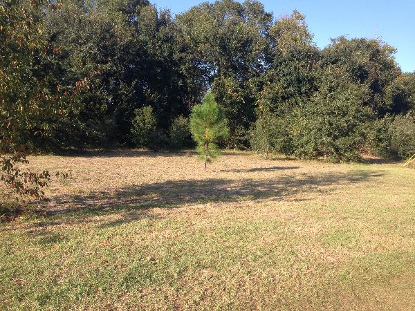 Photo of RV Lot