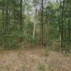 Mobile Home for Sale: 2021 Mobile Home