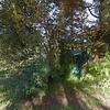 Mobile Home for Sale: Mobile Home