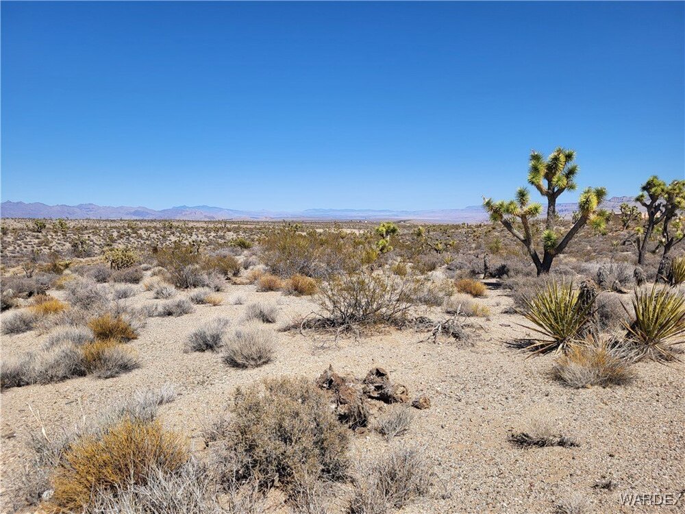 Photo of Mobile Home Lot