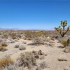 Photo of Mobile Home Lot