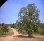 Photo of Mobile Home Lot