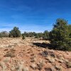 Photo of Mobile Home Lot