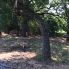 Photo of RV Park/Campground