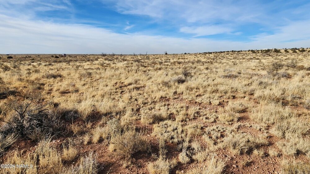 Photo of Mobile Home Lot