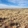 Photo of Mobile Home Lot