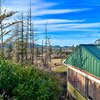 Mobile Home for Sale: 1 Story,Double Wide Manufactured - Manufactured Home on Real Property, Lebanon, OR
