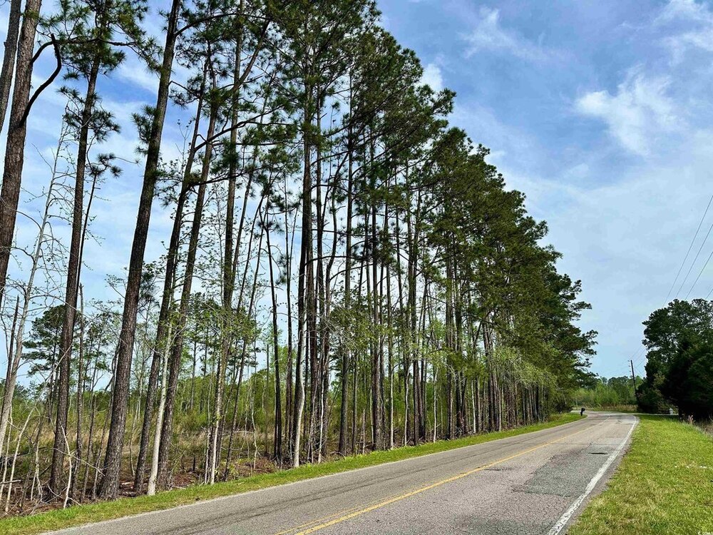 Photo of Mobile Home Lot