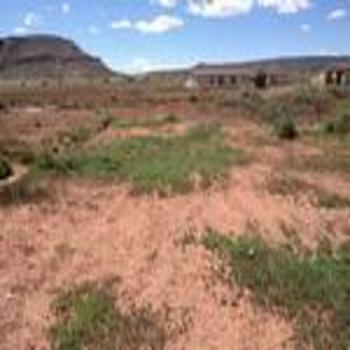 Photo of Mobile Home Lot