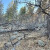 Photo of Mobile Home Lot