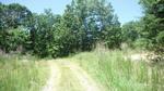 Photo of Mobile Home Lot