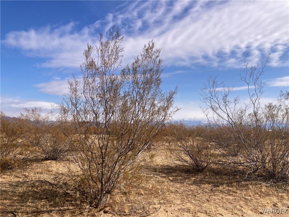 Photo of Mobile Home Lot