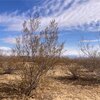 Mobile Home Lot for Sale: Manufactured Home - Golden Valley, AZ, Golden Valley, AZ