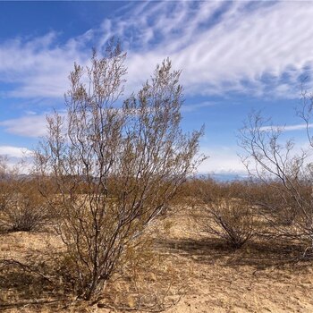 Thumbnail of mobile home lot