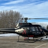 Aircraft for Sale: 1980 Eurocopter AS350 - FX2