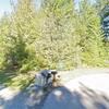Mobile Home for Sale: 3 Bed 1 Bath 2006 Mobile Home