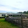 Mobile Home for Sale: 3 Bed 2 Bath 1997 Mobile Home