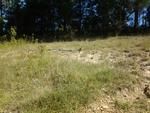 Photo of Mobile Home Lot