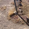 Photo of Mobile Home Lot