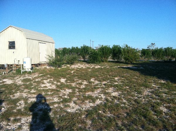 Photo of RV Lot