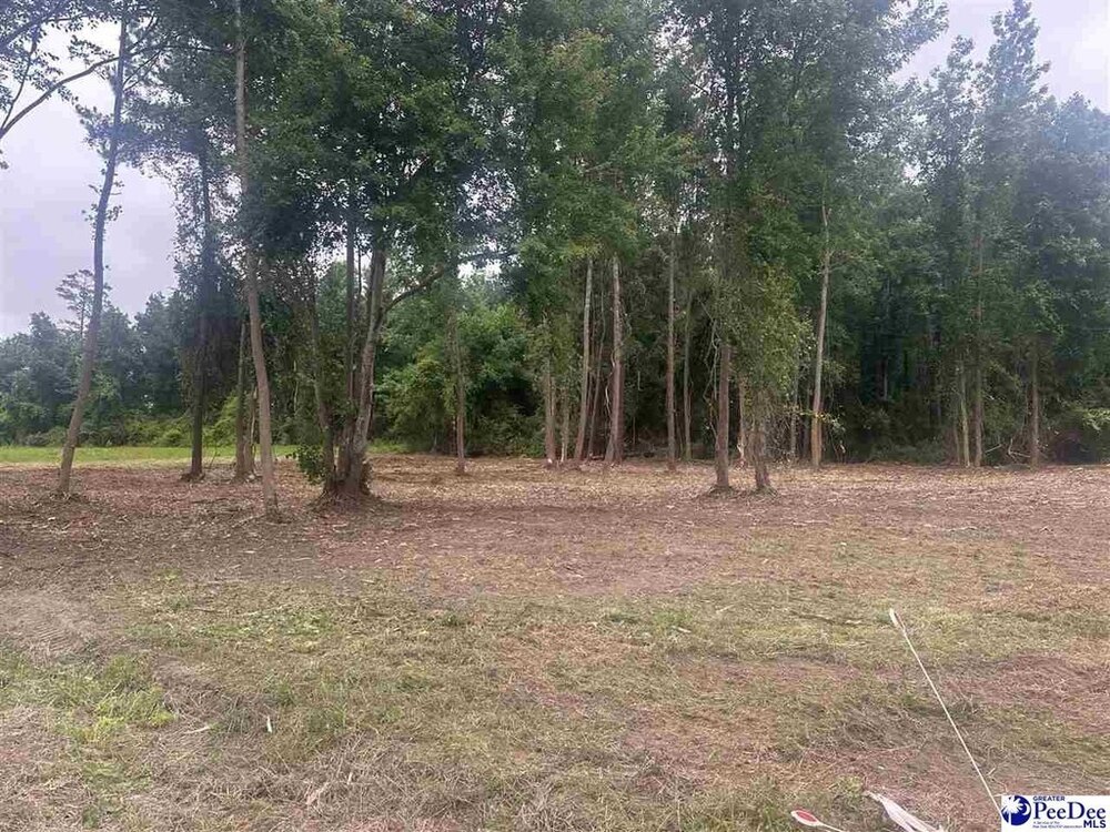 Photo of Mobile Home Lot