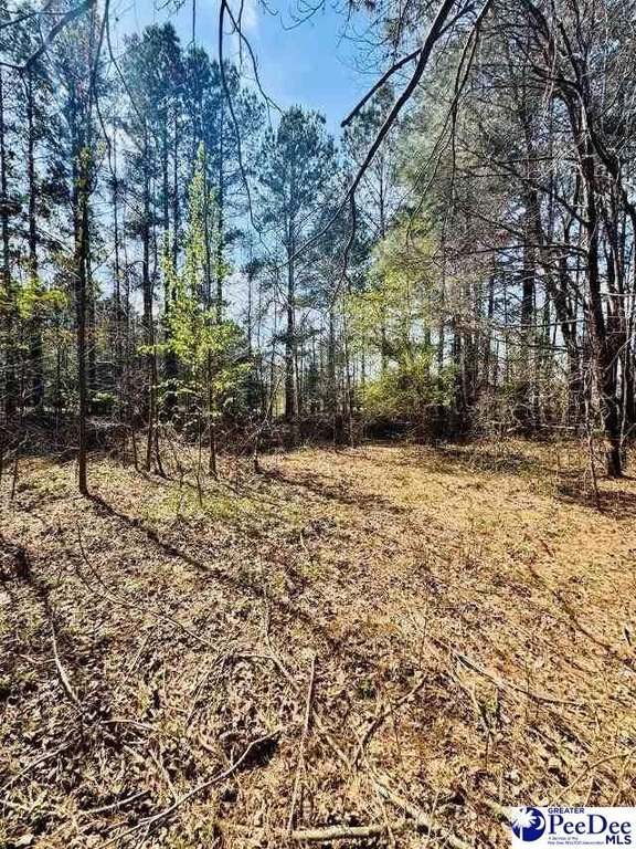 Photo of Mobile Home Lot