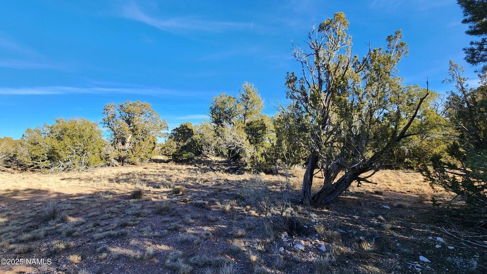 Photo of Mobile Home Lot