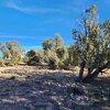 Photo of Mobile Home Lot