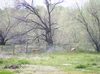 RV Park for Sale: Black willow rv park, Roberts, ID