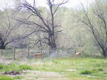 Photo of Rv Park