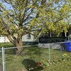Mobile Home for Sale: Ranch, Manufactured Home - Otis Orchards, WA, Otis Orchards, WA