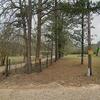 Mobile Home for Sale: 3 Bed 2 Bath Mobile Home