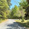 Mobile Home for Sale: 3 Bed 2000 Mobile Home