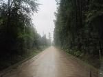 Photo of Mobile Home Lot