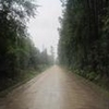 Photo of Mobile Home Lot
