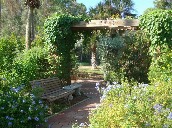 Butterfly Garden