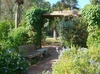 Butterfly Garden