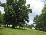 Photo of Mobile Home Lot