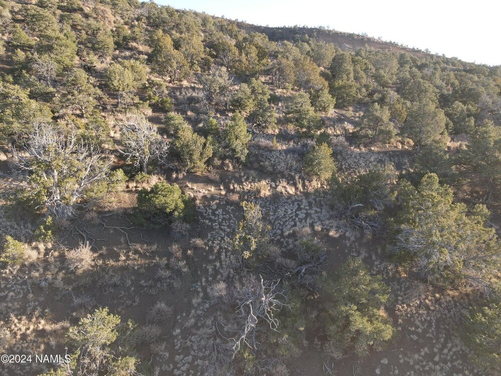 Photo of Mobile Home Lot