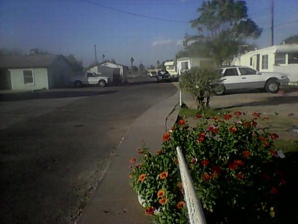 Photo of Mobile Home Park