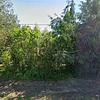 Mobile Home for Sale: 2 Bed 1 Bath 1972 Mobile Home
