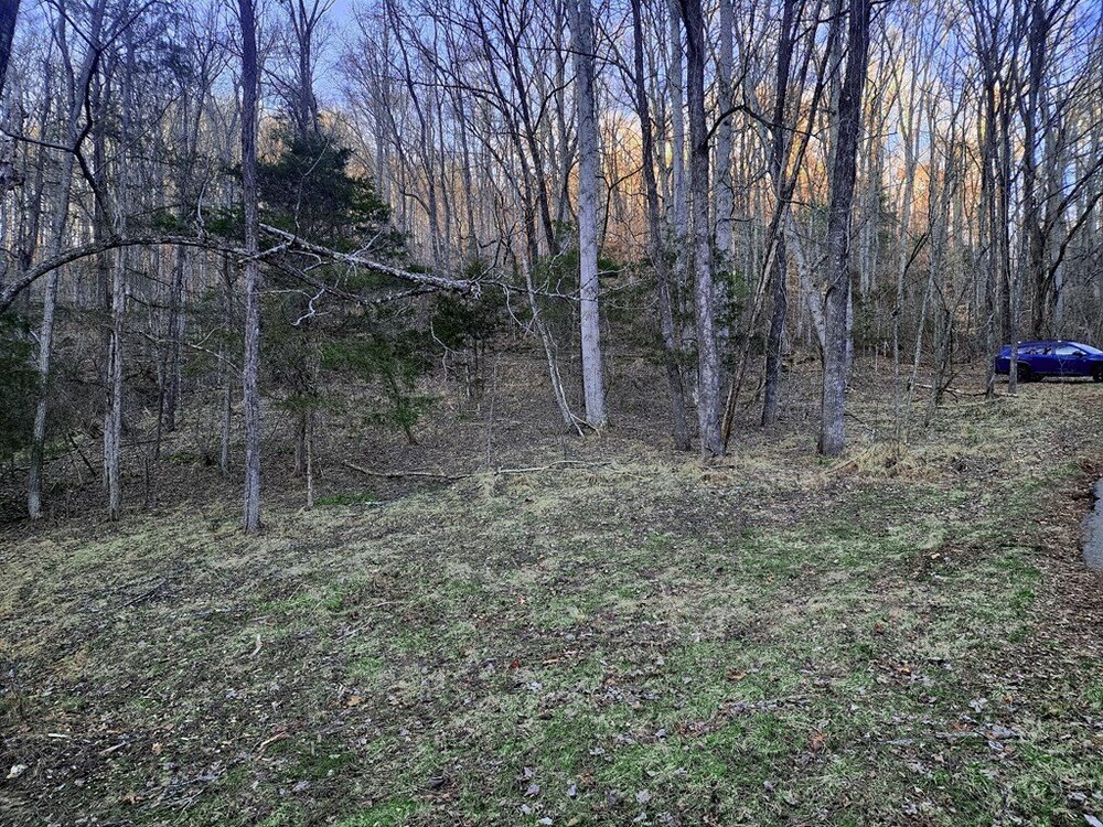 Photo of Mobile Home Lot
