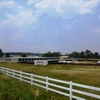 Photo of Self Storage Facility